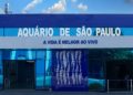Associado SEESP tem desconto em ingressos do Aquário de São Paulo